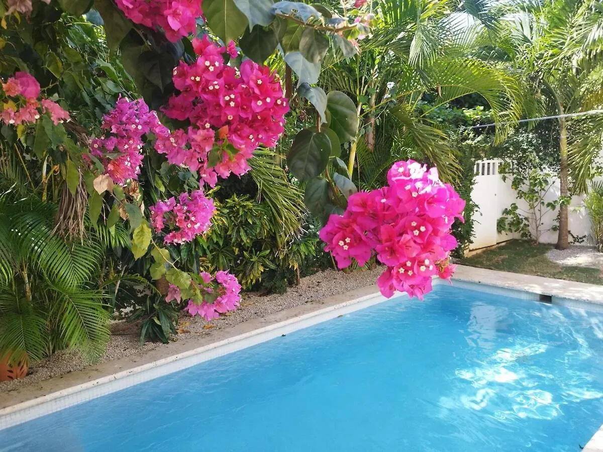 Comfort One Step Away From The Beach Las Terrenas 0*,